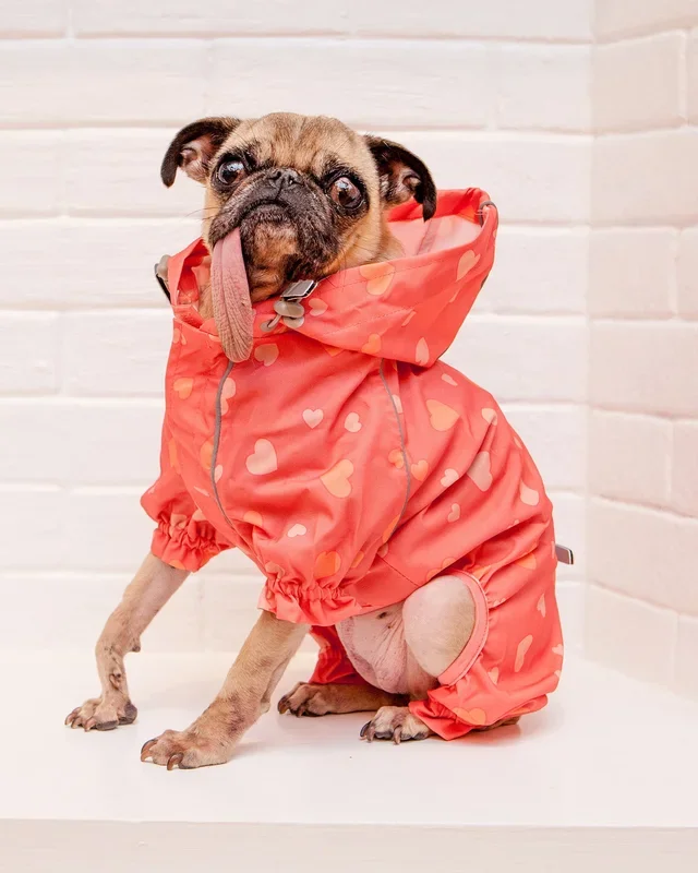Reflective Dog Rainsuit in Pink Hearts