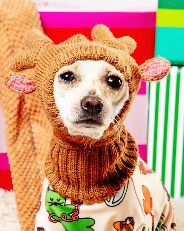 Reindeer Knit Hat for Dogs (FINAL SALE)