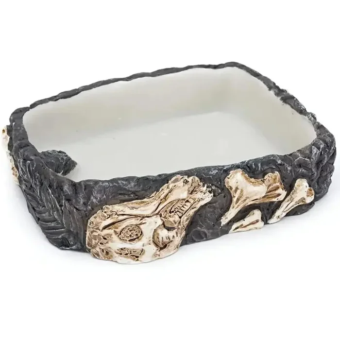 Reptology Reptile Fossil Rock Food/Water Dish
