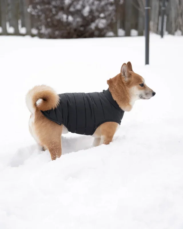 Reversible Puffer Dog Jacket in Black