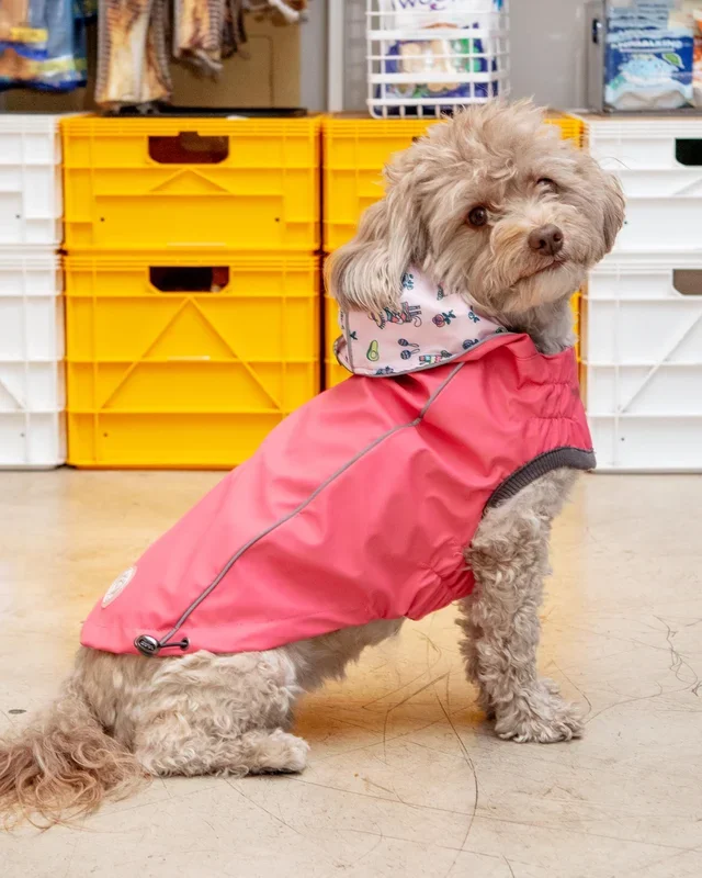 Reversible Waterproof Dog Raincoat in Pink (FINAL SALE)