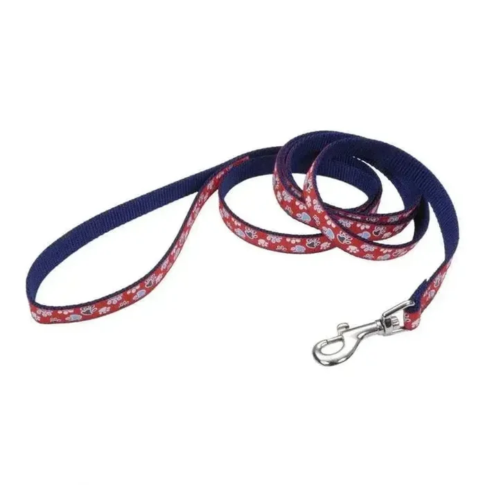 Ribbon Nylon Dog Leash