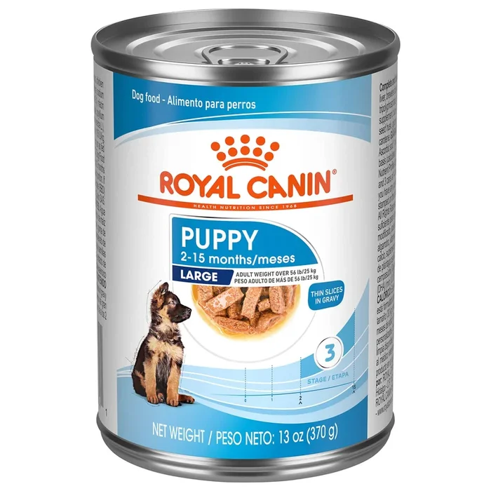 Royal Canin Size Health Nutrition Thin Slices in Gravy Large-Breed Puppy Wet Dog Food – 13 Oz – Case of 6