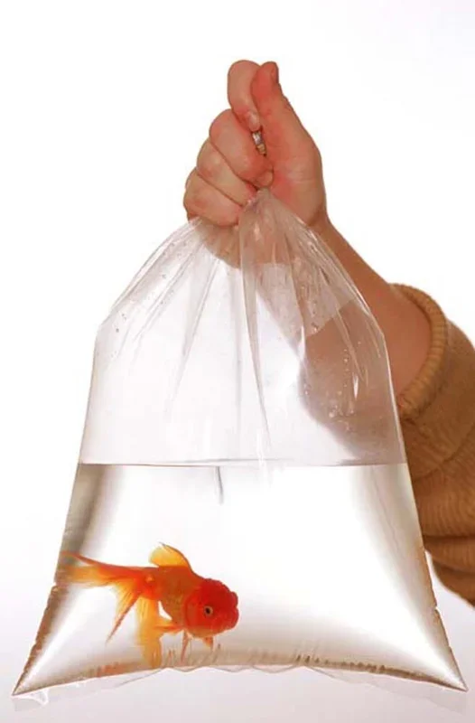 Rutan Poly Industries Fish Bags Clear – 2 mm, 8 in X 20 in – 1000 Bag