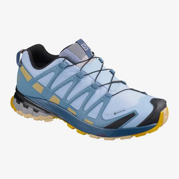 Salomon Women’s XA Pro 3D V8 GTX Boots