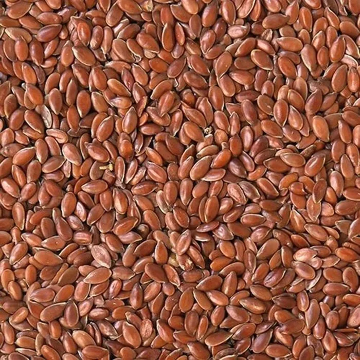 Shafer Generic Flax Seed Wild Bird Food – 50 Lbs