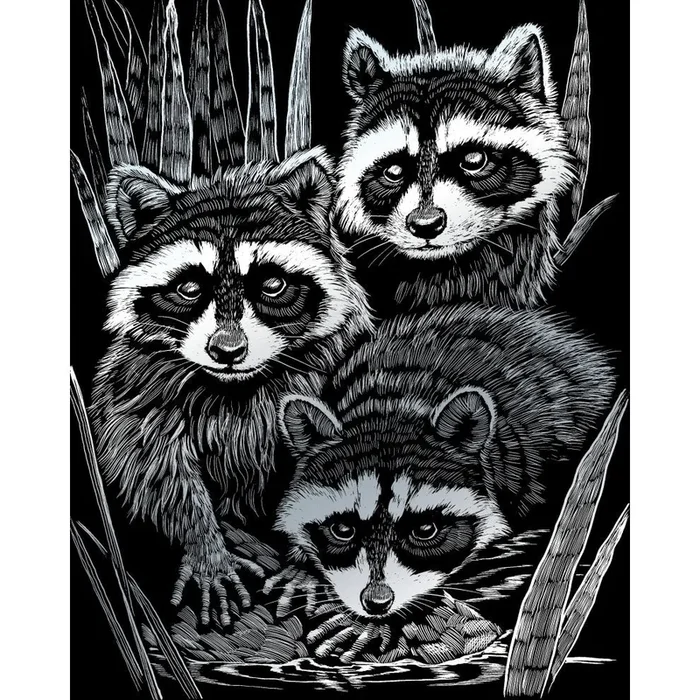 Silver Engraving Raccoons SILF-46