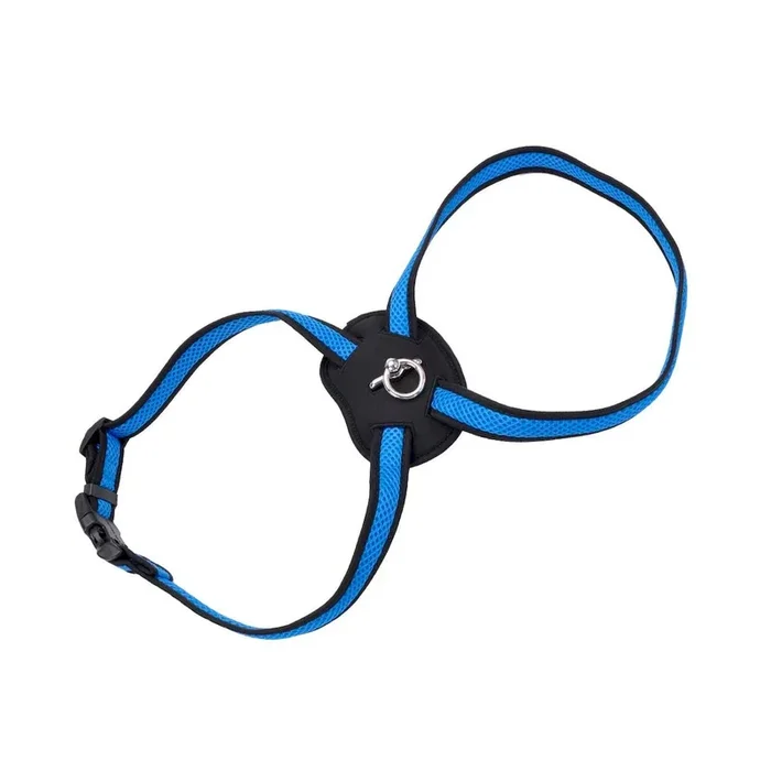 Size Right Blue Mesh Harness Large 1″ x 30″-38″