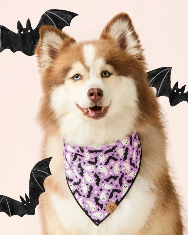 Spooky Season Glow-in-the-Dark Reversible Dog Bandana (Made in the USA)
