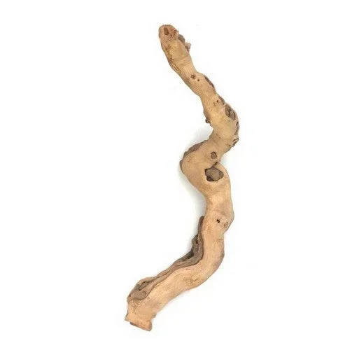 Sublime Vines, Sublime Vines Sandblasted Grapevine Decor, 1 Each / XS