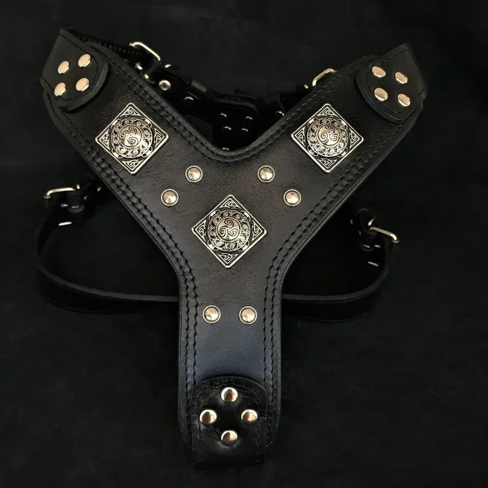 The “Eros” all Black Harness