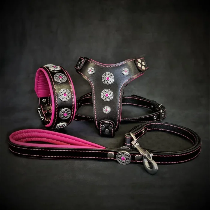 The ”Bijou” SET – Collar, Harness, Leash. Pink