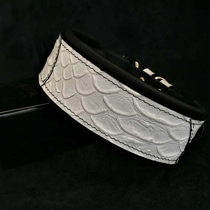 The ”Dragon Scale” LIMITED collar exclusive design