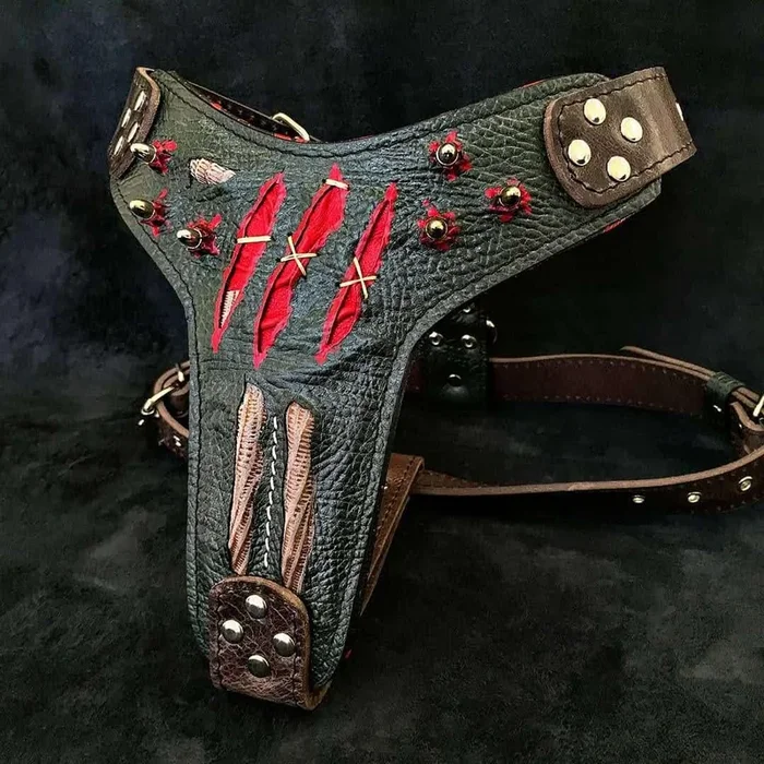 The ”Haunted” harness LIMITED