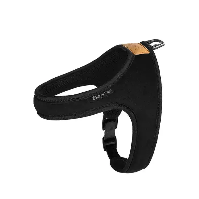 Town Dog Harness