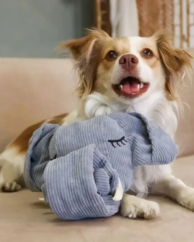Trunk or Treat Elephant Snuffle Dog Toy