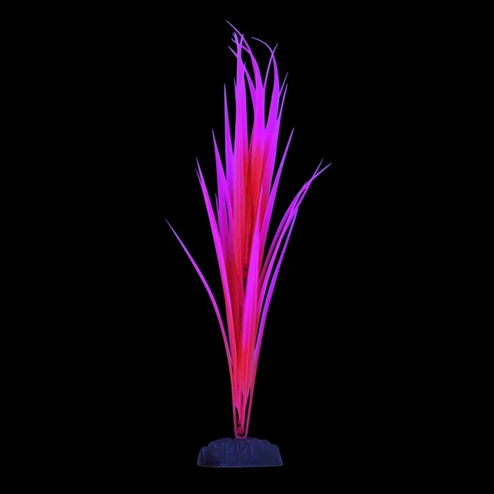 Underwater Treasures Glow Sagittaria Pink