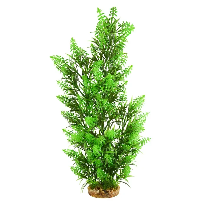 Underwater Treasures Green Tipped Kelp Plastic Plant