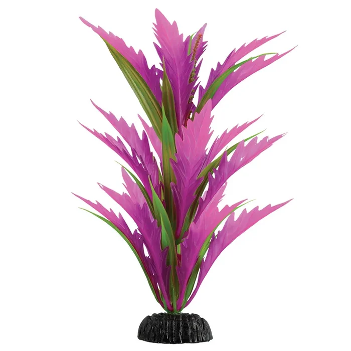 Underwater Treasures Pink Saber Sword Plant