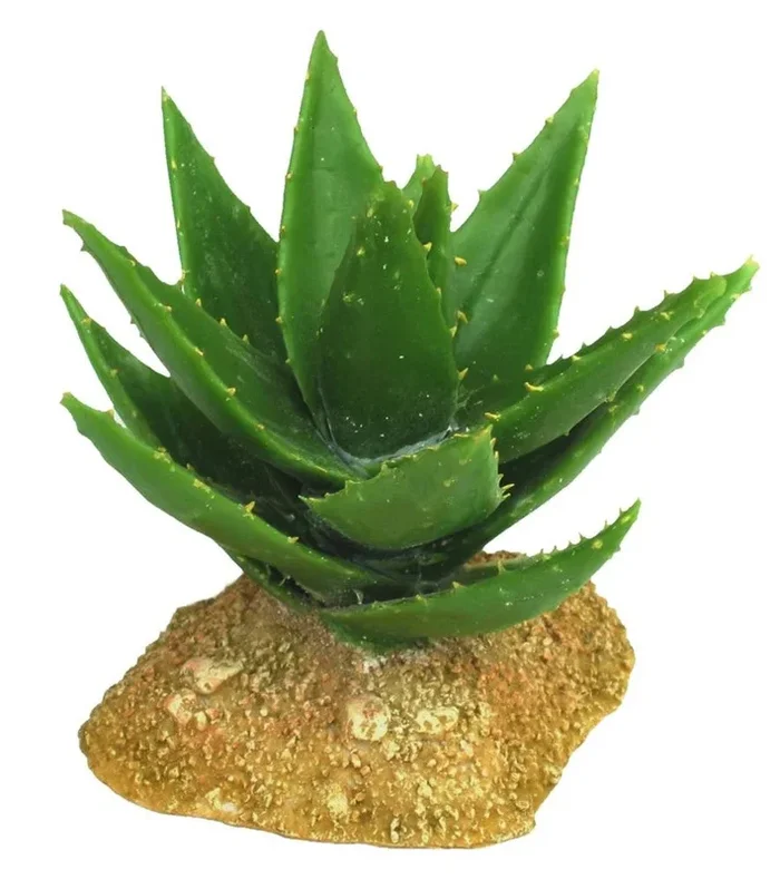 Weco Badlands Aloe Vera Terrarium Ornament