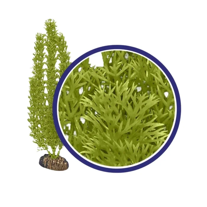 Weco Products Freshwater Series Foxtail Aquarium Plant Green, 1ea/12 in