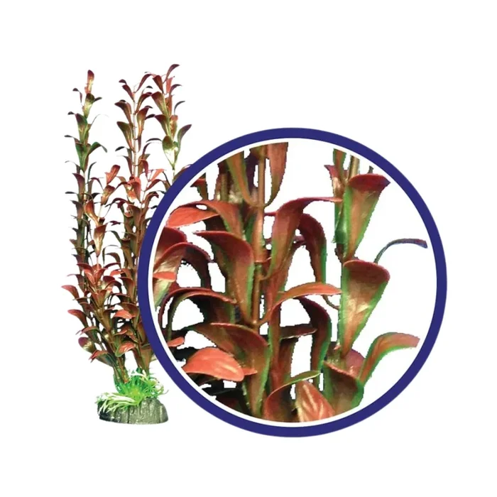 Weco Products Freshwater Series Hygrophilia Aquarium Plant Red, 1ea/12 in