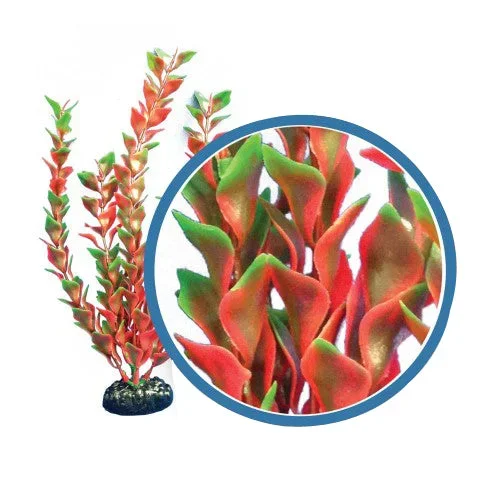 Weco, Weco Products Freshwater Pro Series Ludwigia Aquarium Plant, Red, 1 Each/6 in