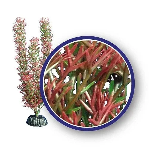 Weco, Weco Products Freshwater Series Foxtail Aquarium Plant, Red, 1 Each/12 in