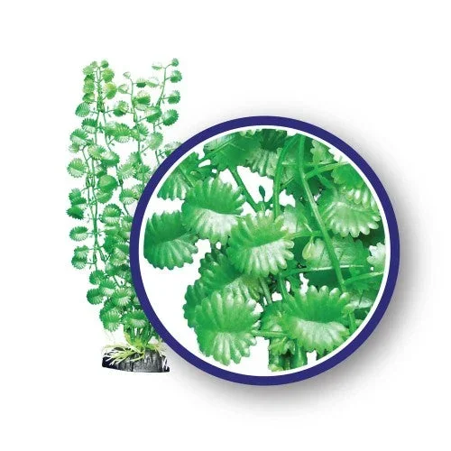 Weco, Weco Products Freshwater Series Japanese Cress Aquarium Plant, Green, 1 Each/6 in