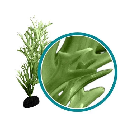 Weco, Weco Products Marine Pro Series Giant Kelp Aquarium Plant, Green, 30 Inches, Giant