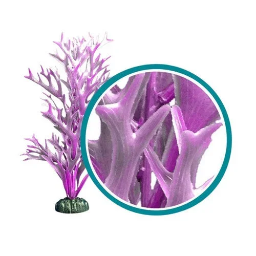 Weco, Weco Products Marine Pro Series Giant Kelp Aquarium Plant, Purple, 18 Inches, Giant