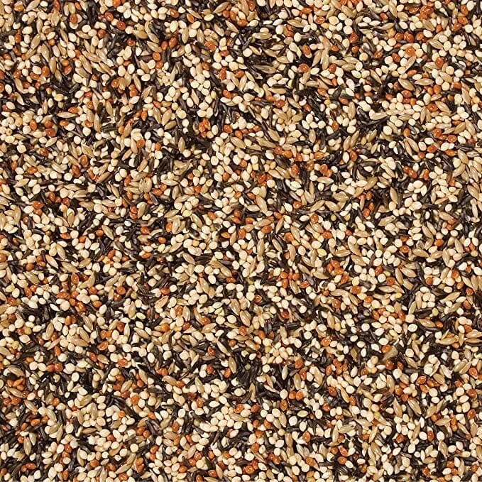 Wild Delight Outdoor Finch Wild Bird Food – 5 Lbs