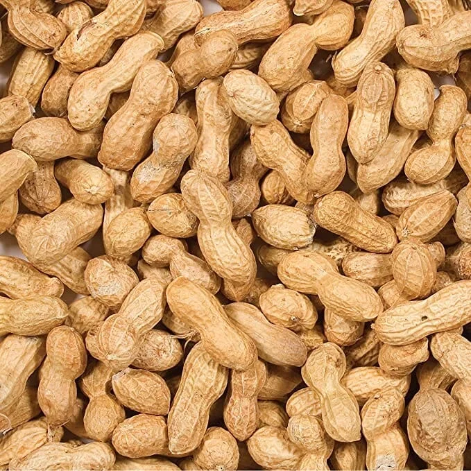 Wild Delight Wildlife Inshell Peanuts Wild Bird Food – 5 Lbs