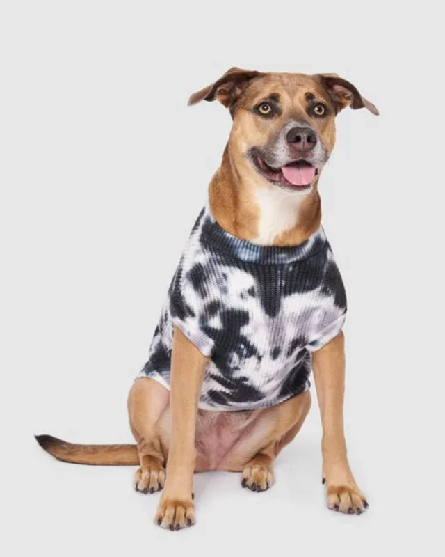 Wild Side Tie-Dye Dog Sweater