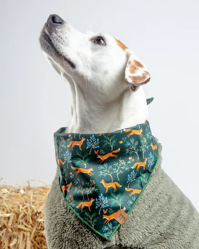 Woodland Fox Dog Bandana (Made in the USA)