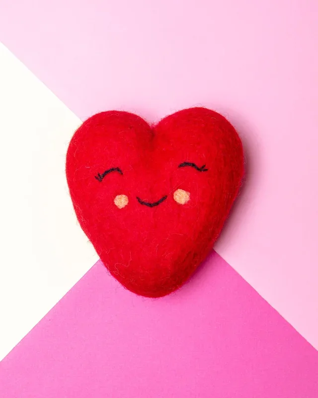 Wool Handrolled Heart Dog Toy