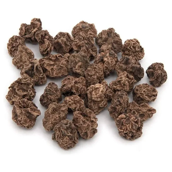 最佳宠物银藤干果瘿 40g